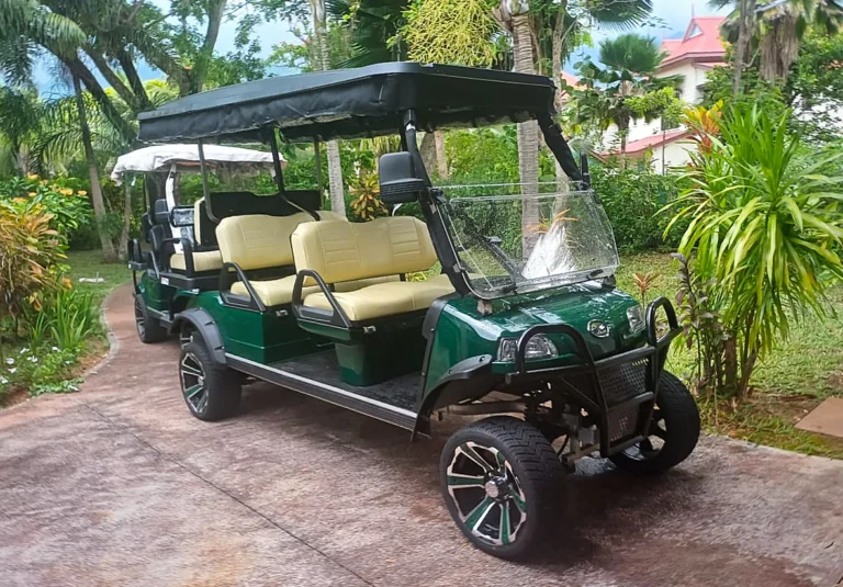 Buggies 2