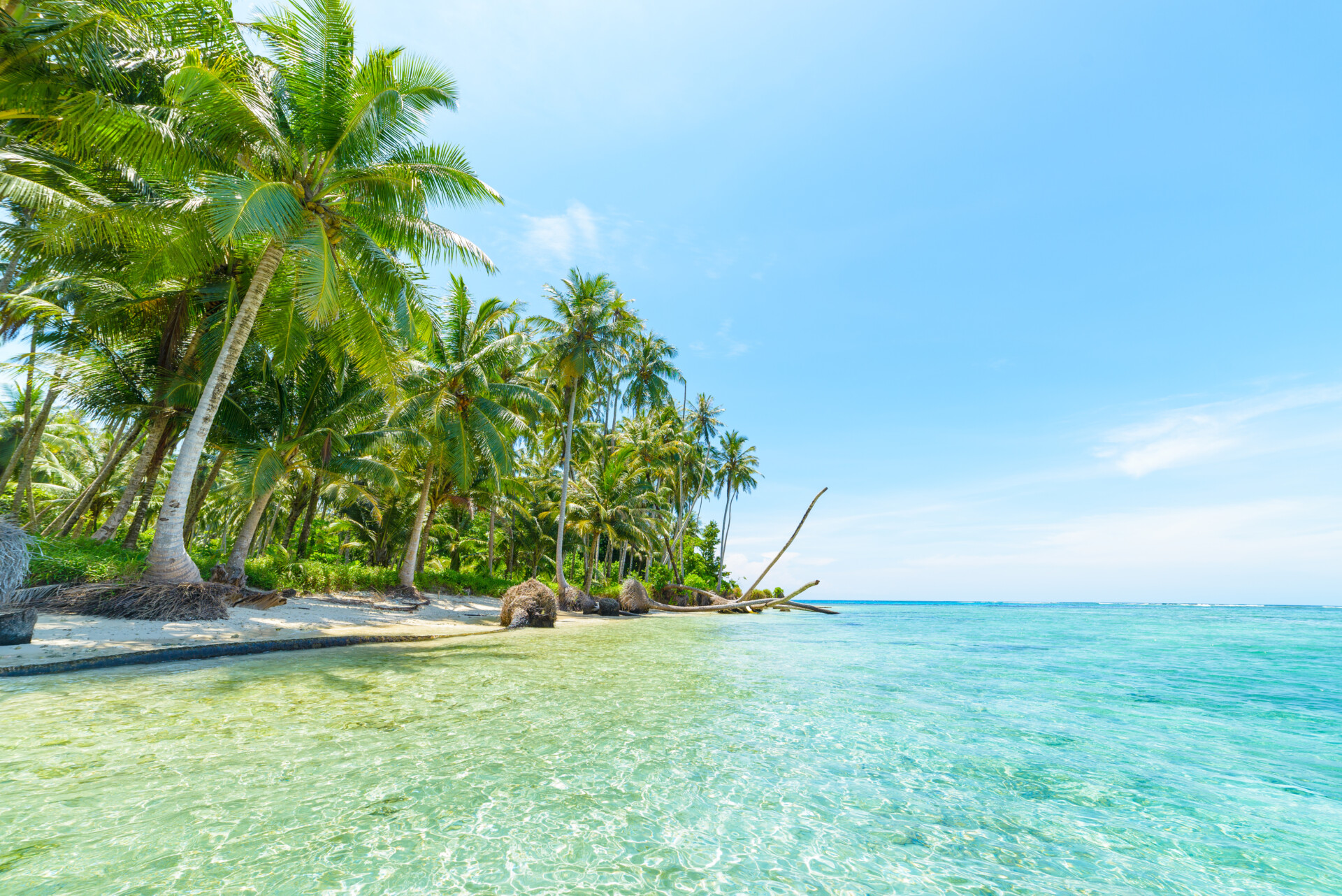 White sand beach with coconut palm trees turquoise blue water coral reef, tropical travel destination, desert beach no people banyak islands, sumatra, indonesia