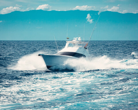 Boat in the sea